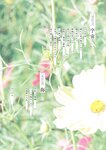 [Photobook] 鶴嶋乃愛 1stフォトエッセイ 微睡む花の様に