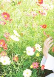 [Photobook] 鶴嶋乃愛 1stフォトエッセイ 微睡む花の様に