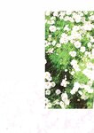 [Photobook] 鶴嶋乃愛 1stフォトエッセイ 微睡む花の様に