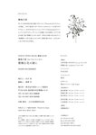 [Photobook] 鶴嶋乃愛 1stフォトエッセイ 微睡む花の様に