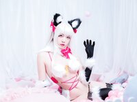 [Cosplay] 二佐Nisa Fate 伊莉雅 野兽 [22P-132MB]
