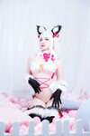 [Cosplay] 二佐Nisa Fate 伊莉雅 野兽 [22P-132MB]