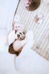 [Cosplay] 阿半今天很开心 天狼星 [43P-230MB]