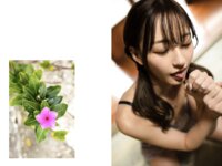 [Photobook] 流川夕 グラビア写真集 美波の風に抱かれて