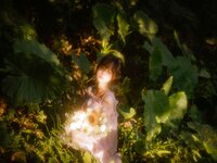 [Cosplay] 萌芽儿o0 林中少女 [30P-655MB]