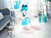 [Cosplay] 猫大人 - 初音白兔×猫大人
