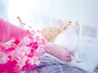 [Cosplay] 阿半今天很开心 杀生学院 [25P-65MB]