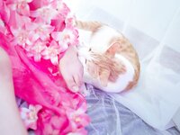[Cosplay] 阿半今天很开心 杀生学院 [25P-65MB]