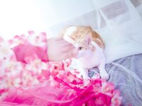 [Cosplay] 阿半今天很开心 杀生学院 [25P-65MB]