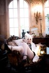 [Cosplay] Nikukyu Ayato, Nagisa MK-2, Usagi, Senji Klartheit