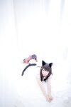 [Cosplay] Nikukyu Ayato, Nagisa MK-2, Usagi, Senji Klartheit