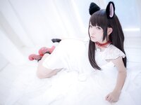 [Cosplay] Nikukyu Ayato, Nagisa MK-2, Usagi, Senji Klartheit