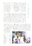 [Photobook] Haruna Kojima 小嶋陽菜 - 1st. Photo Book Kojiharu 1st.フォトブック こじはる