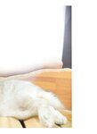 [WHITE graph 007] Yoda Yuuki 与田祐希 - MY DREAM