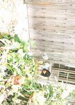 [Photobook] Atsuko Maeda 前田敦子 - AKB48 Graduation Commemorative Photo Book Acchan AKB48卒業記念フォトブック あっちゃん