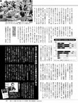 週刊SPA! (スパ) 2022年11月15日号
