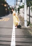 [BRODY] 2022.12 (Hinatazaka46)