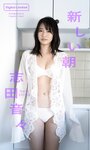 [Weekly Playboy] 2023.01.23 No.03-04 雪平莉左 志田音々 村島未悠 小島瑠璃子 くろがねさら 竹内花 宇都宮未来 戸田ころね