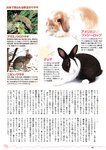 [Weekly Playboy] 2023 No.03-04 Accessory DVD Full Ver