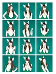 [Photobook] Jessica Kizaki 希崎ジェシカ LAST Photobook - ありがとうございじぇしか。 (2019-09-14) NO watermark