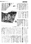 週刊実話 2023年 2月2日号
