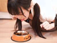 [COSPLAY] 虎森森 狗狗剧情