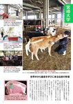 週刊ポスト 2023年 2月10日･17日号 [雑誌]