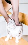 [COSPLAY] 穆零Mu0 老师学生
