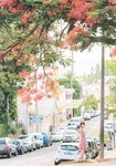 [Photobook] 秋元真夏ファースト写真集 真夏の気圧配置(2017.02.28)