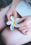 [Photobook] 秋元真夏ファースト写真集 真夏の気圧配置(2017.02.28)