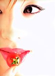 [Photobook] Haruka Igawa 井川遥 - Tomato 西紅柿 トマト」(20030223)