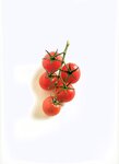 [Photobook] Haruka Igawa 井川遥 - Tomato 西紅柿 トマト」(20030223)