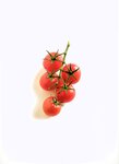 [Photobook] Haruka Igawa 井川遥 - Tomato 西紅柿 トマト」(20030223)