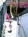 [Photobook] Satomi Ishihara 石原さとみ - Tayutai たゆたい(20051210)