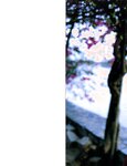 [Photobook] Satomi Ishihara 石原さとみ - Tayutai たゆたい(20051210)