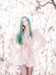 Bambi (밤비) - DREAMLIKE