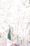 Bambi (밤비) - DREAMLIKE