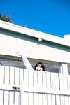 [Yanmaga Web] Hina Iwata 岩田陽菜 - Weekly STU48 週刊STU48 (2023-02-26)
