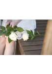 [Photobook] 白皙-BABEL 白鳥優菜1st VISUAL BOOK(2022.10.09)