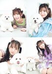 [Big Comic Spirits] 週刊ビッグコミックスピリッツ 2023.03.06 No.12 わーすた 廣川奈々聖 松田美里 小玉梨々華 三品瑠香