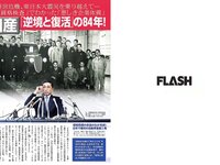 [FLASH] 電子版 2017 No.11.14 (宮脇咲良 深田恭子 ほのか 菊地美香 葉加瀬マイ 他)