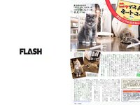 [FLASH] 電子版 2018 No.05.08-15 (浅川梨奈 衛藤美彩 伊藤純奈 久保史緒里 志田未来 他)