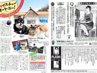 [FLASH] 電子版 2017 No.04.25 (桜井玲香 山本美憂 園都 ANRI 他)