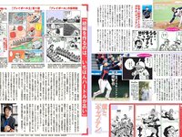 [FLASH] 電子版 2017 No.04.25 (桜井玲香 山本美憂 園都 ANRI 他)