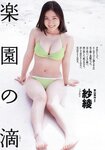 [Weekly Playboy Magazine] 2009 No.26 紗綾,安めぐみ,鮎川穂乃果,安倍なつみ,板垣あずさ[37P]