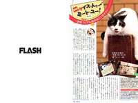 [FLASH] 電子版 2017 No.10.17-24 (米倉涼子 叶美香 橘花凛 永尾まりや 他)