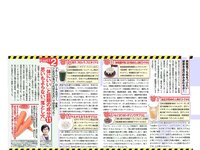 [FLASH] 電子版 2017 No.07.25 (小倉優香 吉田朱里 美馬怜子 葉加瀬マイ 他)