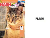 [FLASH] 電子版 2018 No.08.21-28 (小倉優香 葉加瀬マイ 浅川梨奈 大原優乃 北原里英 他)