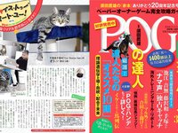 [FLASH] 電子版 2018 No.05.22 (出口亜梨沙 柏木由紀 園都 柳いろは 石神澪 岩本和子 他)
