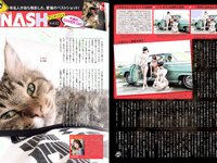[FLASH] 電子版 2018 No.09.11 (紗綾 佐藤仁美 澤北るな 竹内渉 他)